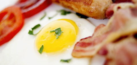 Wilsons Promontory Motel - New Castle Holiday 44