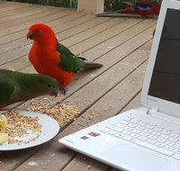 Wilsons Promontory Motel - New Castle Holiday