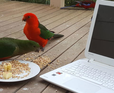 Wilsons Promontory Motel - New Castle Holiday 0