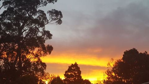 Wilsons Promontory Motel - New Castle Holiday 25