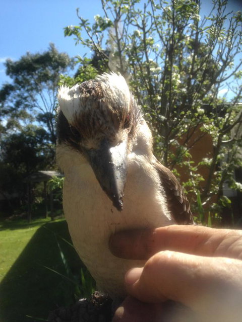Mud Hollow Barn - New Castle Holiday 8