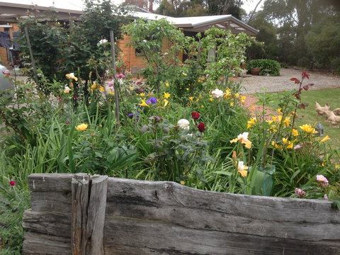 Mud Hollow Barn - New Castle Holiday 12