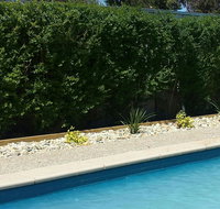 Robinvale Bridge Motel - New Castle Holiday