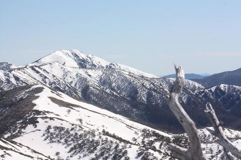 Shady Brook Cottages - New Castle Holiday 4