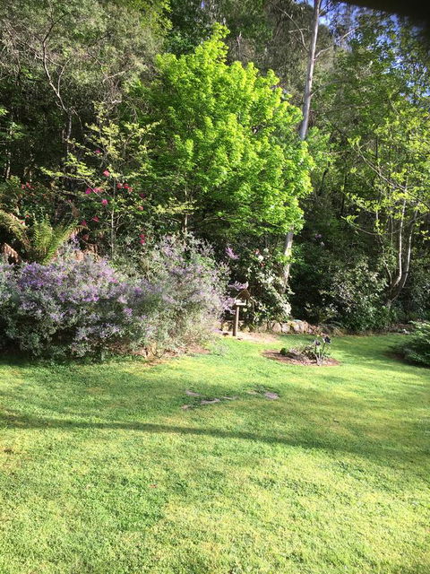 Shady Brook Cottages - New Castle Holiday 6