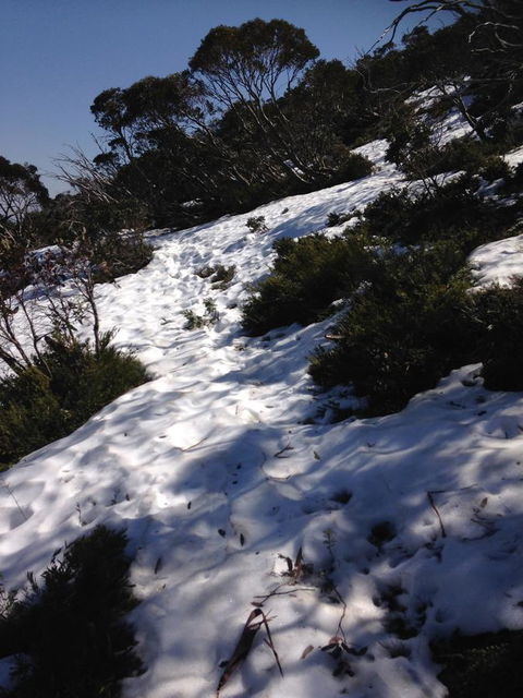 Shady Brook Cottages - New Castle Holiday 11