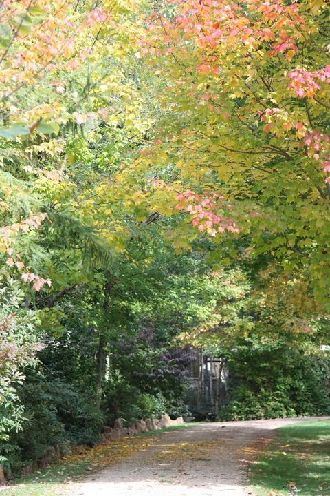 Shady Brook Cottages - New Castle Holiday 14