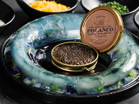 Sofitel Melbourne On Collins - New Castle Holiday 41