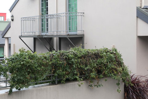 Quality Inn & Suites The Menzies - New Castle Holiday 23