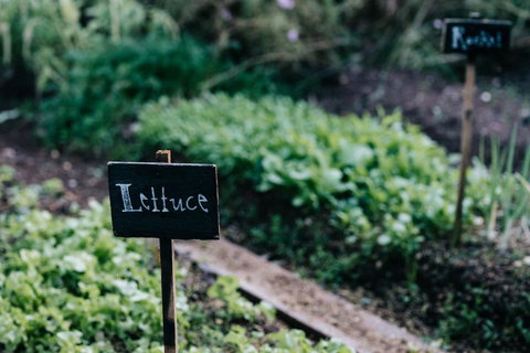 Acre Of Roses - New Castle Holiday 6