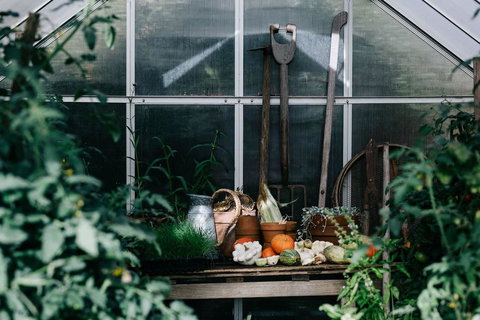 Acre Of Roses - New Castle Holiday 16