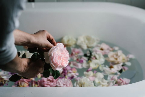 Acre Of Roses - New Castle Holiday 7