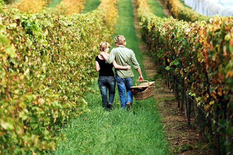 Goldfield Holiday Units - New Castle Holiday 33