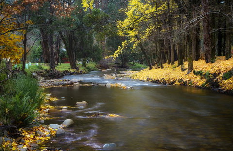 Goldfield Holiday Units - New Castle Holiday 0