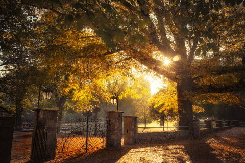 Goldfield Holiday Units - New Castle Holiday 20