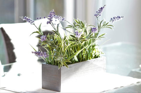 Tamara Temptation - New Castle Holiday 23