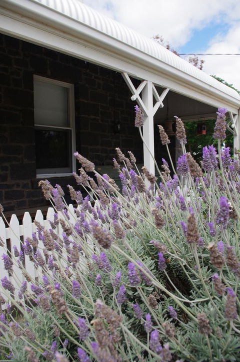 Little River Bed And Breakfast - New Castle Holiday 30