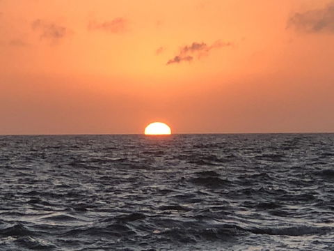 Beautiful, Cosy And Quiet - New Castle Holiday 27