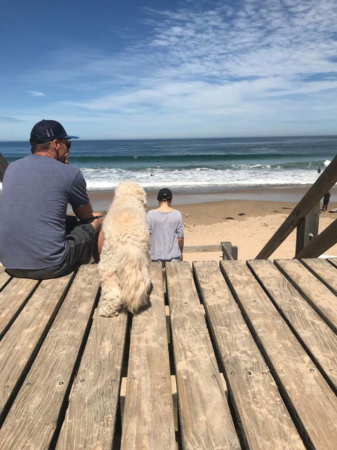 Beautiful, Cosy And Quiet - New Castle Holiday 37