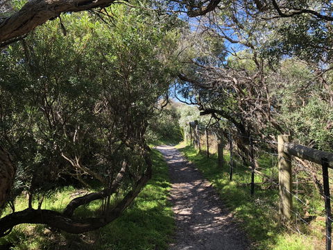 Beautiful, Cosy And Quiet - New Castle Holiday 20