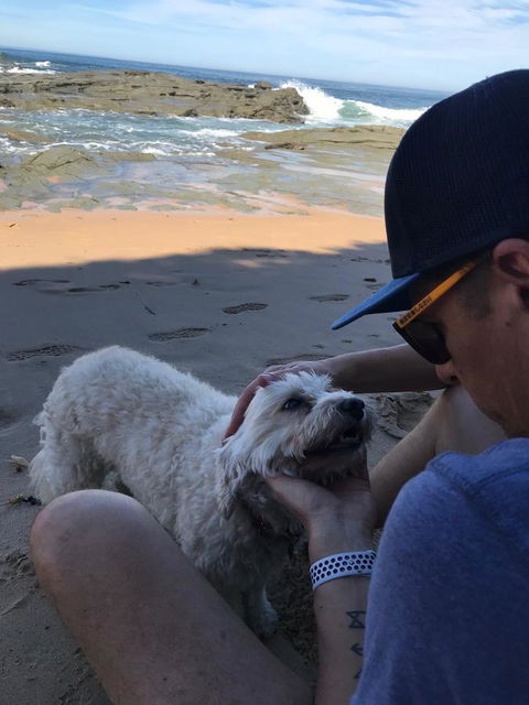 Beautiful, Cosy And Quiet - New Castle Holiday 34