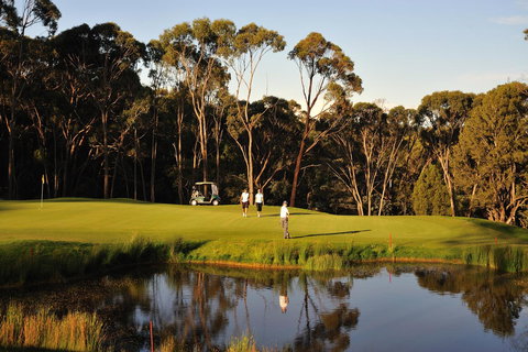 RACV Goldfields Resort - New Castle Holiday 31