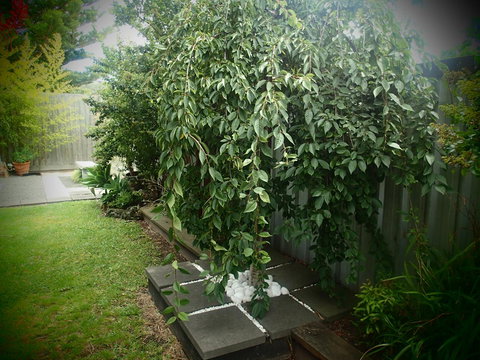 Azen Haven - New Castle Holiday 12