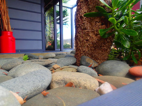 Azen Haven - New Castle Holiday 11