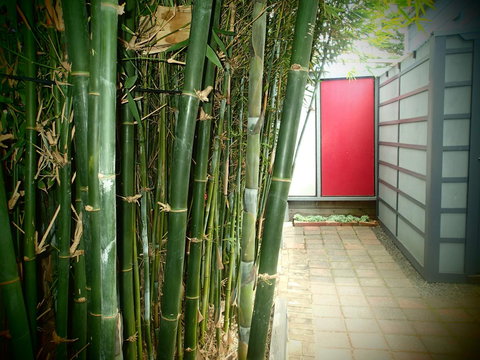 Azen Haven - New Castle Holiday 13