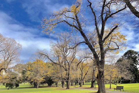 Fawkner Apartment Bay-view 4 - New Castle Holiday 31