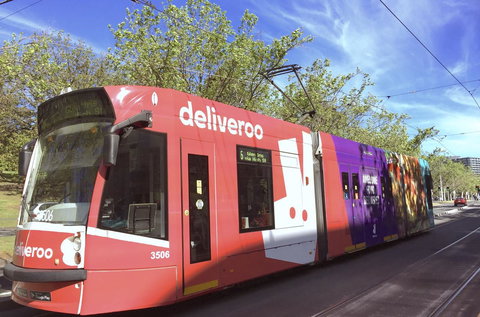 Fawkner Apartment Bay-view 4 - New Castle Holiday 33