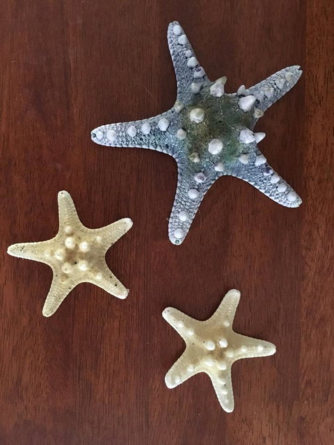 Ocean View Beach House - New Castle Holiday 2