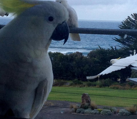 Apollos View Accommodation - New Castle Holiday 21