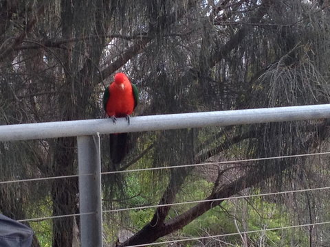 Apollos View Accommodation - New Castle Holiday 23