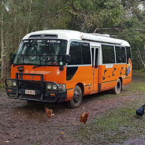 The Cabin - New Castle Holiday 3