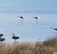 The DOLPHIN PLACE - New Castle Holiday