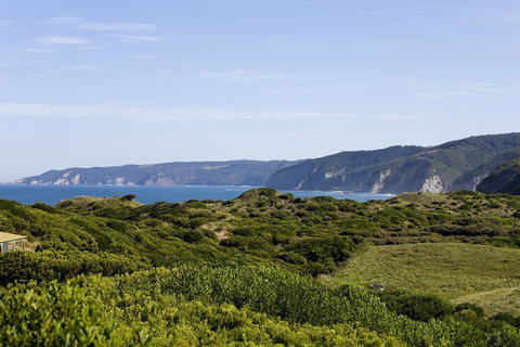 The Farm House - New Castle Holiday 3