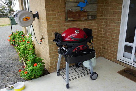 The Friendly Pelican - New Castle Holiday 2