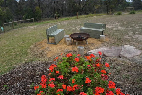 The Friendly Pelican - New Castle Holiday 3