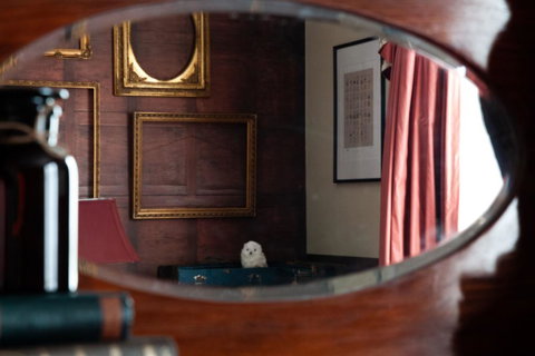 The Hotel Windsor - New Castle Holiday 1