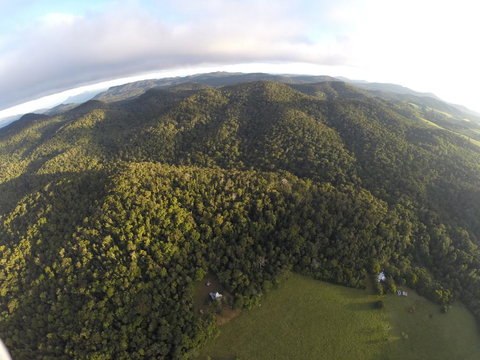 The Jungle Stays - New Castle Holiday 1