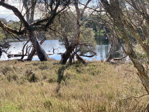 The Lake House - New Castle Holiday 0