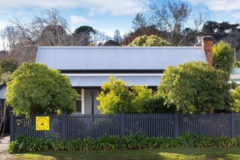 The Lemontree - New Castle Holiday 1