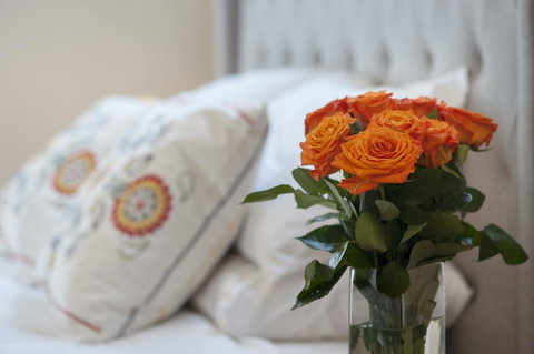 The Nest At Gundaroo - New Castle Holiday 1