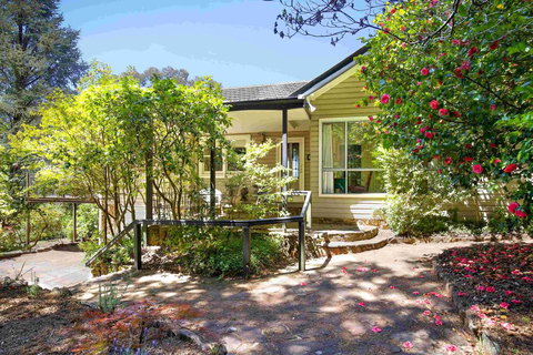 The Nineteenth - New Castle Holiday 0