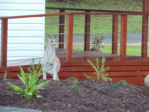 The Pouch B & B - New Castle Holiday 1