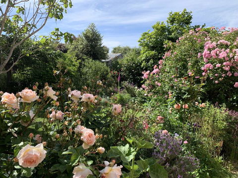The Racecourse Inn - New Castle Holiday 2