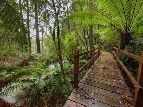 The Source, Otways - New Castle Holiday 0