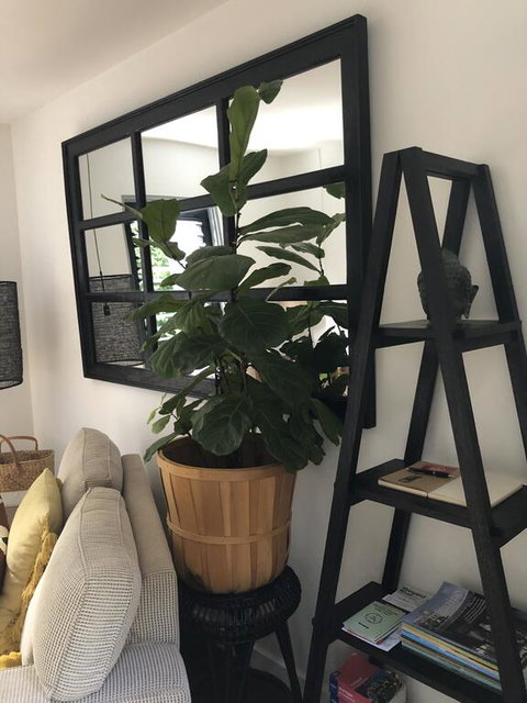 The Stewart - New Castle Holiday 0