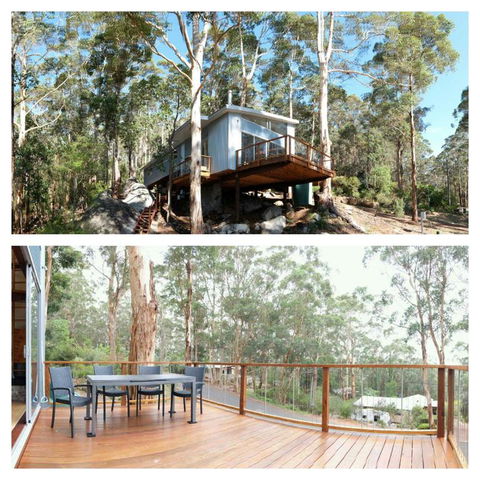 The Tree House - New Castle Holiday 3